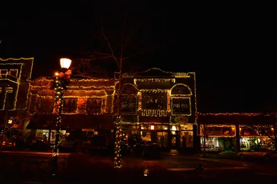 DSC_5872 (Large).JPG